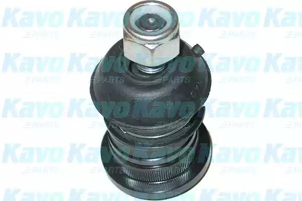 Kavo Parts SBJ-5512 Joint assy suspension