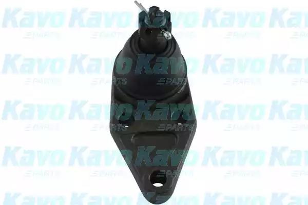 Kavo Parts SBJ-5528 Joint assy suspension