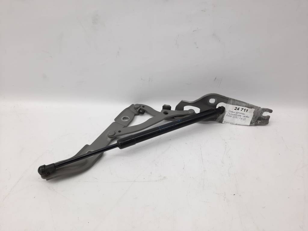 BMW 41627210676 Петля двери