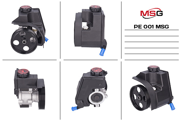 MSG PE001 Steering pump