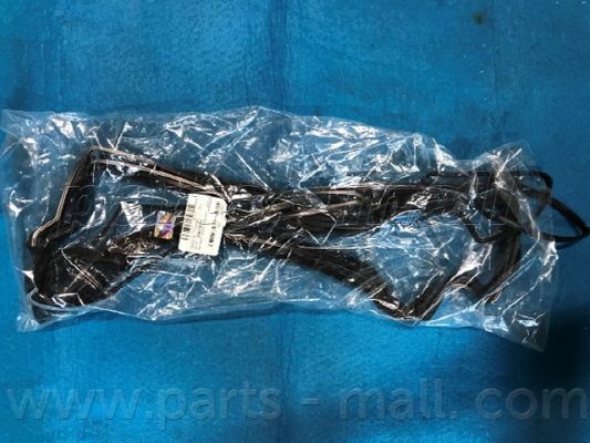 PMC P1G-A060 Прокладка кришки клапанів