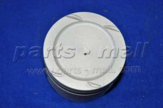 PMC PXMPC006B Поршень