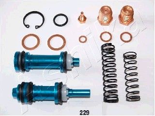 Ashika 114-229 Repair kit brake master