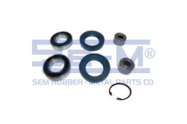 SEM 10785 Control arm bush kit