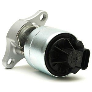 Delphi EG10170 Клапан рециркуляції відпрацьованих газів