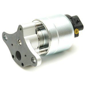 Delphi EG10174 Клапан рециркуляції відпрацьованих газів