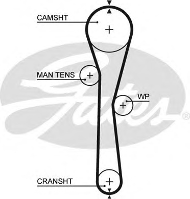 Gates 5577XS Belt timing Gates 5577XS Belt timing