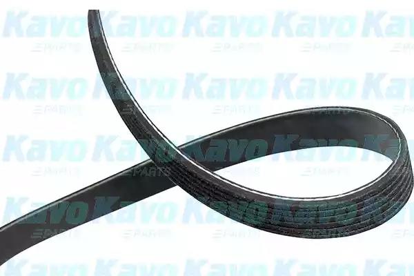Kavo Parts DMV-4568 Ремінь поліклиновий